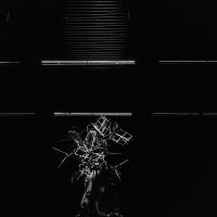 Nevjerojatno nepoznat slučaj Slavka G. iz Kutine