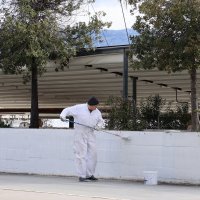 Split: Osvanuli uvredljivi grafiti protiv Milanovića, natpisi brzo uklonjeni