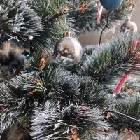 Redmi Note 15 Pro 5G fotografije