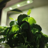 Redmi Note 15 Pro 5G fotografije