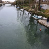 Dupin u rijeci Jadro rađa mladunče