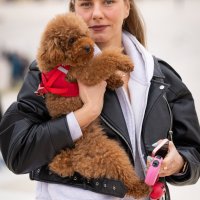 Splićani u šetnji Žnjanom