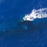 Američka podmornica USS Key West plovi u blizini Havaja