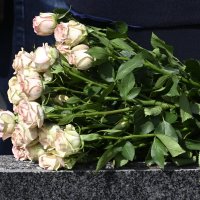 Sprovod Mile Moralić