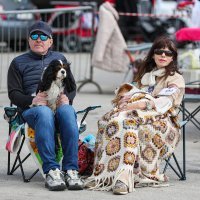 Međunarodna izložba pasa u Zagrebu