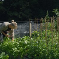 Kornelija Benyovsky Šoštarić