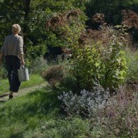 Kornelija Benyovsky Šoštarić