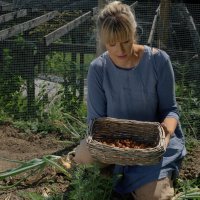 Kornelija Benyovsky Šoštarić