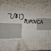 Grafiti mržnje