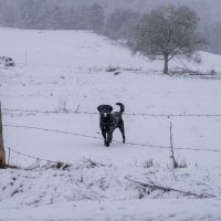 Zimski uvjeti na državnoj cesti DC 52 Prozor - Vrelo Koreničko