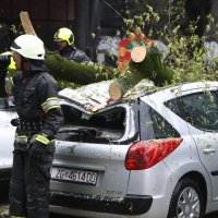 Jak vjetar ruši stabla u Zagrebu
