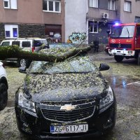 Jak vjetar ruši stabla u Zagrebu