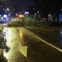 Prekinut promet kod Trešnjvačkog trga zbog pada stabla