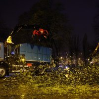 Prekinut promet kod Trešnjvačkog trga zbog pada stabla