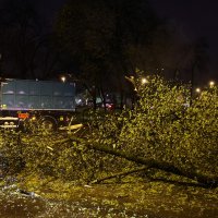 Prekinut promet kod Trešnjvačkog trga zbog pada stabla