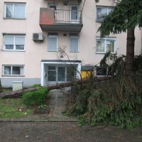 Zagreb: Srušena stabla u Prečkom