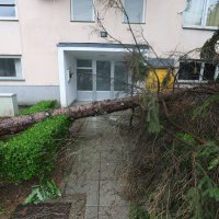 Zagreb: Srušena stabla u Prečkom