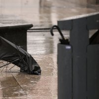 Zagreb: Nevrijeme u gradu radi štetu