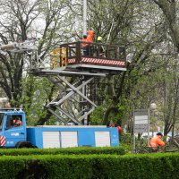 Zagreb: Zatvorena Vukovarska ulica u smjeru zapada radi uklanjanja stabla