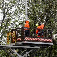 Zagreb: Zatvorena Vukovarska ulica u smjeru zapada radi uklanjanja stabla
