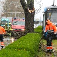 Zagreb: Zatvorena Vukovarska ulica u smjeru zapada radi uklanjanja stabla