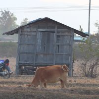 Back Home_Film Still Homegreen Films