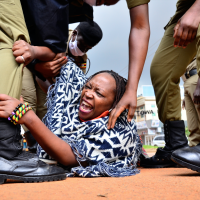 The woman who poked the leopard 2