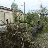 Posljedice nevremena na Mirogoju