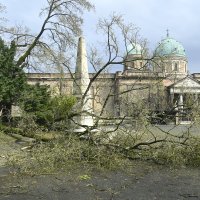 Posljedice nevremena na Mirogoju