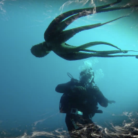 Screenshot 2026-03-10 at 20.34.48