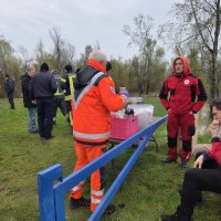 Spasilačka akcija u Savi kod Babine Grede