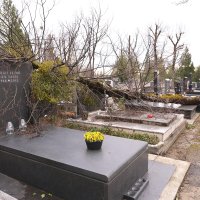 Posljedice nevremena na Mirogoju