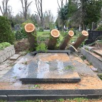 Posljedice nevremena na Mirogoju