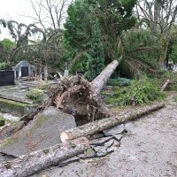Posljedice nevremena na Mirogoju