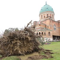Posljedice nevremena na Mirogoju