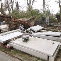 Posljedice nevremena na Mirogoju