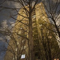 Xiaomi 17 fotografije