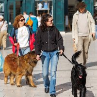 Ulična moda u Splitu