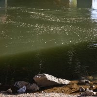 Zagreb: Maloljetnici u koritu Save pronašli lubanju u vrećici s kamenom