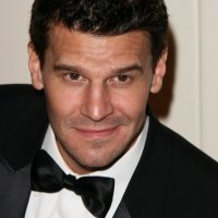 David Boreanaz