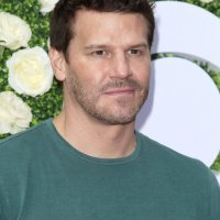 David Boreanaz