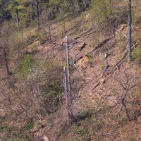 Pogled na Medvednicu iz žičare nakon oluje koja je uništila dio šume