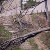 Pogled na Medvednicu iz žičare nakon oluje koja je uništila dio šume