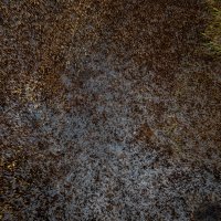 Opožareno područje orintološkog rezervata Orepak u dolini Neretve