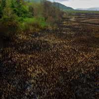 Opožareno područje orintološkog rezervata Orepak u dolini Neretve