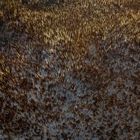 Opožareno područje orintološkog rezervata Orepak u dolini Neretve