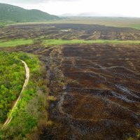 Opožareno područje orintološkog rezervata Orepak u dolini Neretve