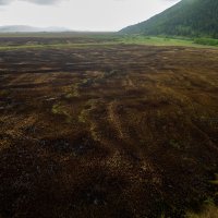 Opožareno područje orintološkog rezervata Orepak u dolini Neretve
