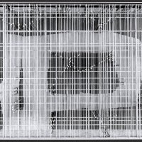 Richterov dizajn paviljona na Milanskom trijenalu 1964.