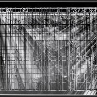 Richterov dizajn paviljona na Milanskom trijenalu 1964.